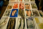 Asien, Diashow, Fischmarkt, Japan, Motiv, Verwendung