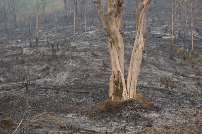  verbrannte Erde im Norden Laos