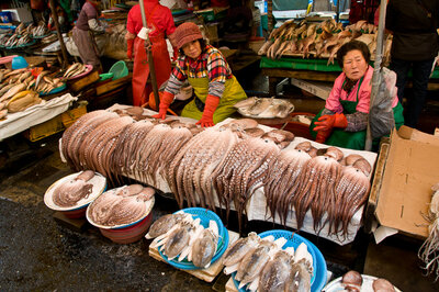fish market in Busan