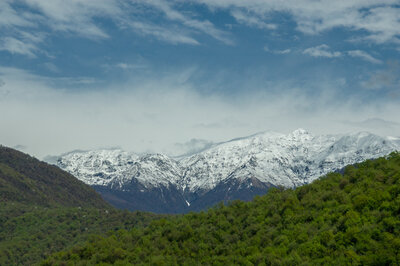 Dichte Wälder vor dem Grossen Kaukasus Dichte Wälder vor dem Grossen Kaukasus