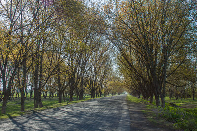great road across green north west Azerbaijan 